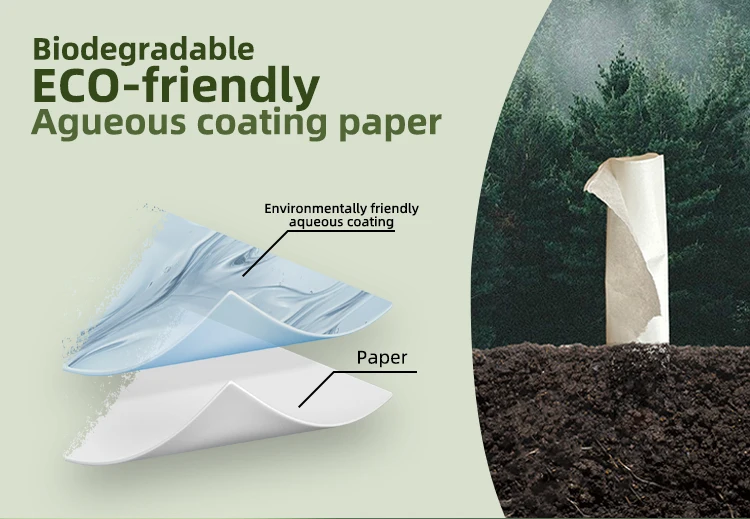 Eco-friendly Water-Based Coated Paper Cups for All Drinks