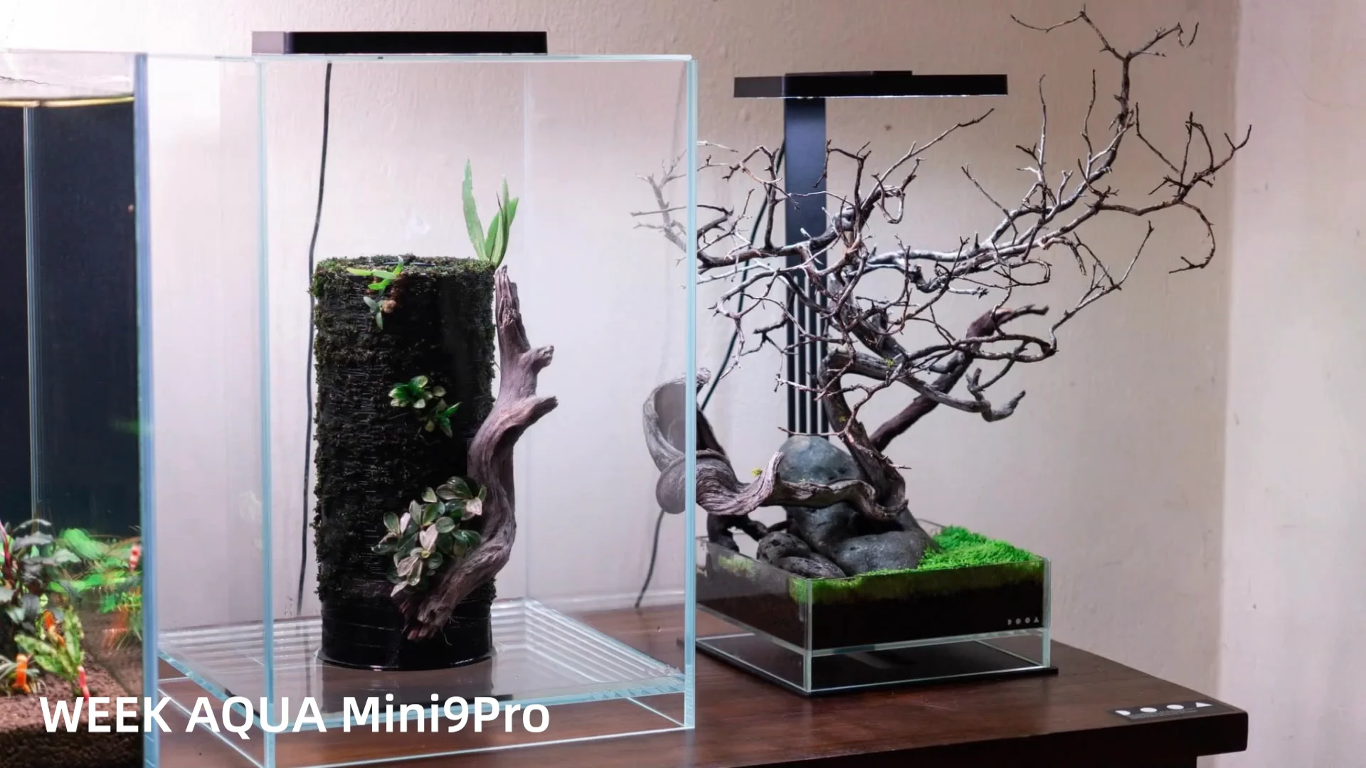 Weekaqua Mini9pro RGBライト スタンドセット WEEK AQUA MINI 9W PRO