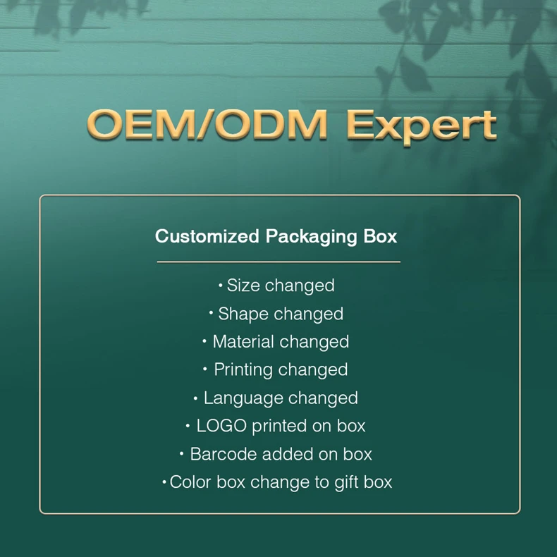 Custom Outdoor Christmas Lights Remote Control Luces Ee Navid Decorative Lighting Wedding Party