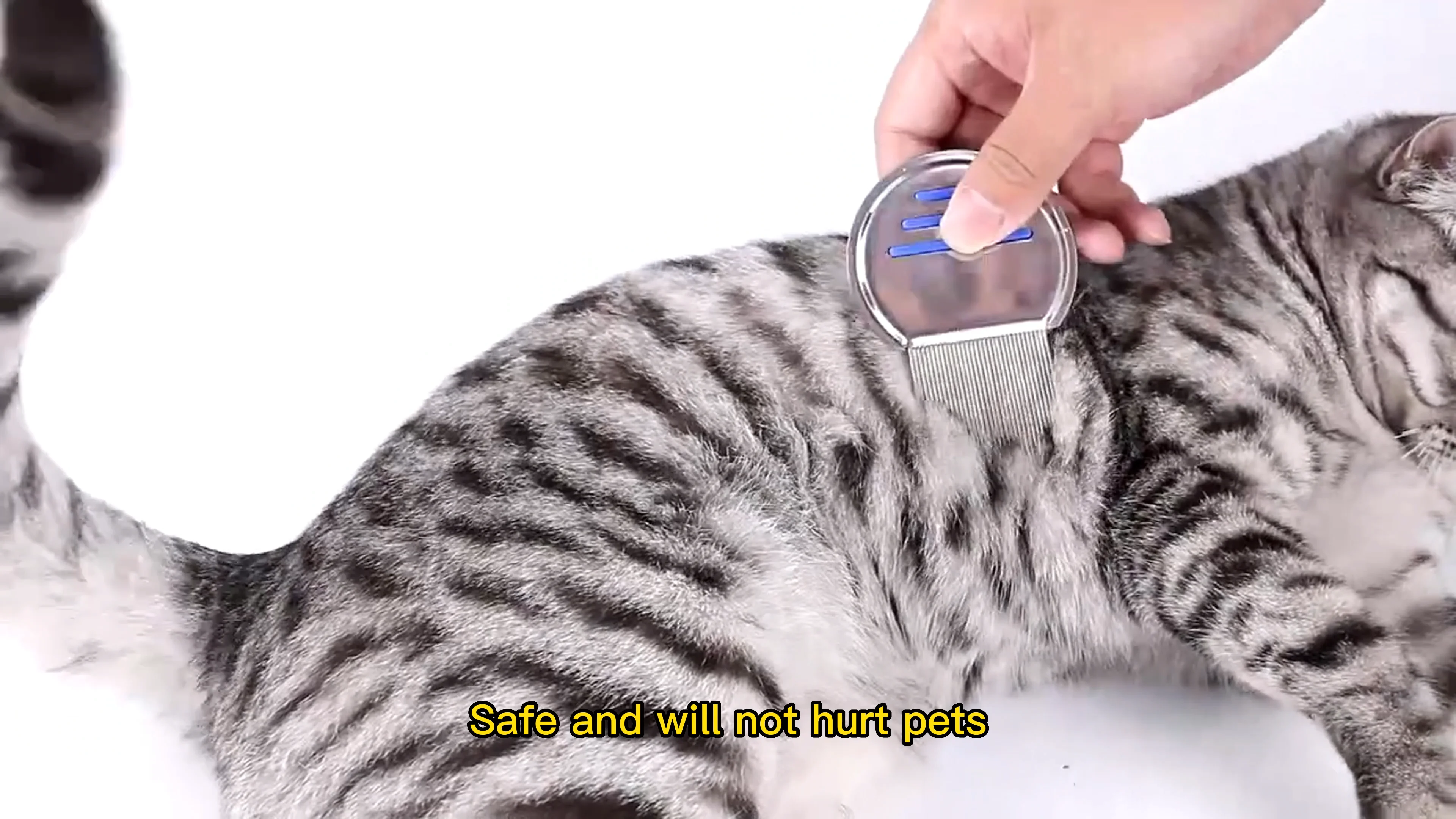 Professional Stainless Steel Super Density Pet Nit Removal Comb Anti