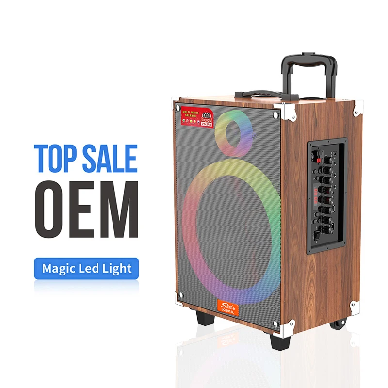 JQS910L Wireless Karaoke - 10 Inch Active Speaker with LED