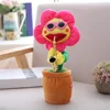 Girasol