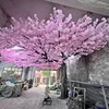 Cerezo rosa en forma de abanico