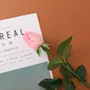 Rose foncé