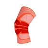 Rodilla 5