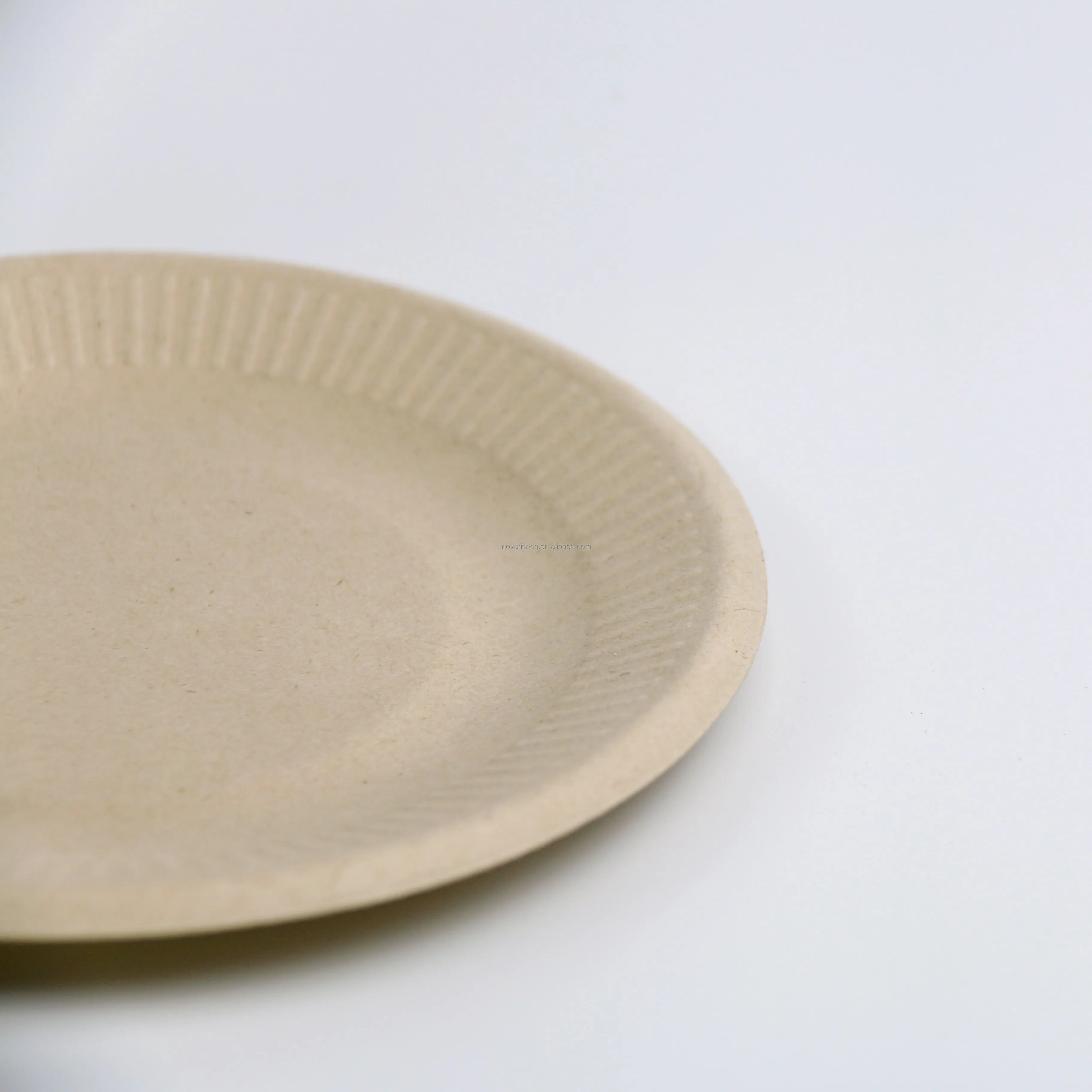 Disposable Biodegradable Sugar Cane Paper Pulp Compostable Bagasse ...