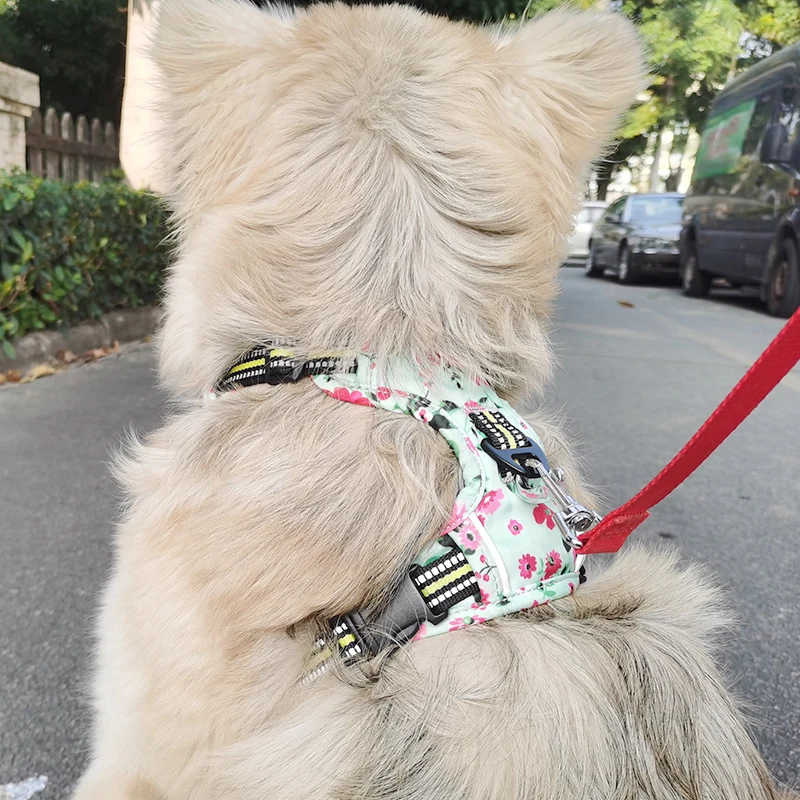 luxury dog harness printing Breathable Mesh No Pull Metal Chain Adjustable Reflective