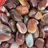 Agata rossa Sardonyx