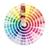 multicolore