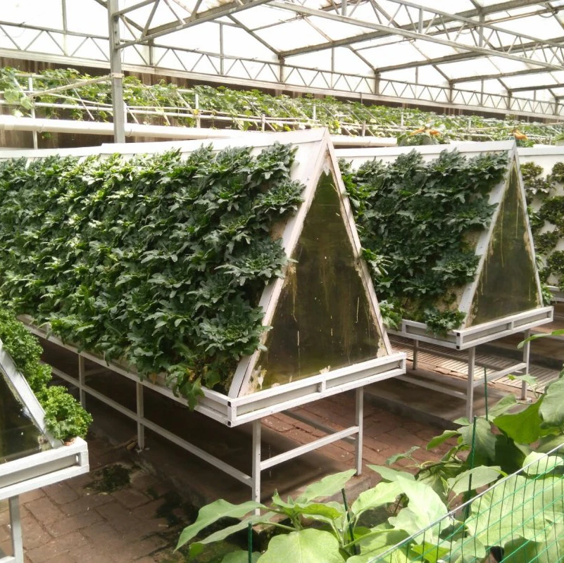 Aeroponic Cultivation system with high quality for film greenhouse