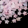 50 roses et bleues, environ 12g