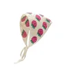 Fraise abricot-pas cher