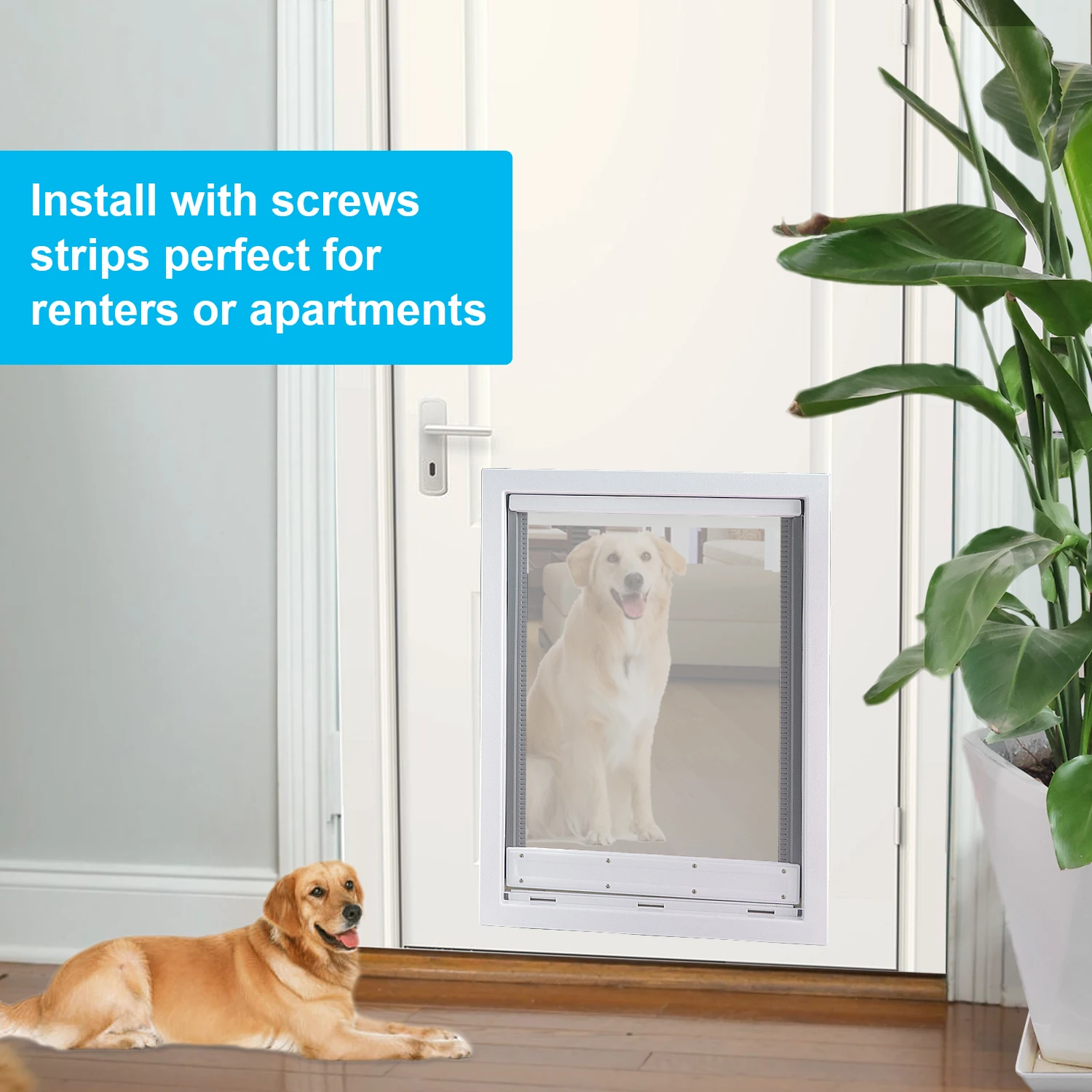 Electronic Dog Doors