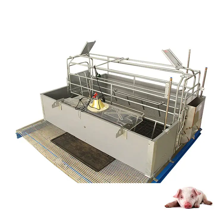 Pig Farm Equipment Galvanized Farrowing Crate Sow Gestation Bed Pig ...