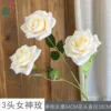 3-headed Goddess Rose WY Champagne