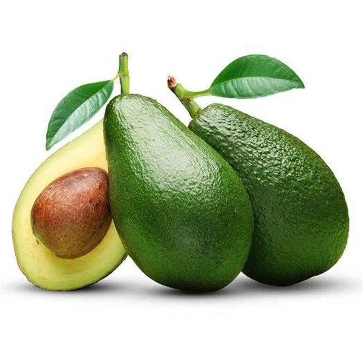 Bulk Sale Lower Prices Avocado Essential Oil Mexico for Beauty Care Avocado Oil