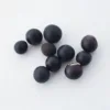 1 Sapindus chinensis (Nocciolo di sapone cinese) - 10 pezzi per confezione