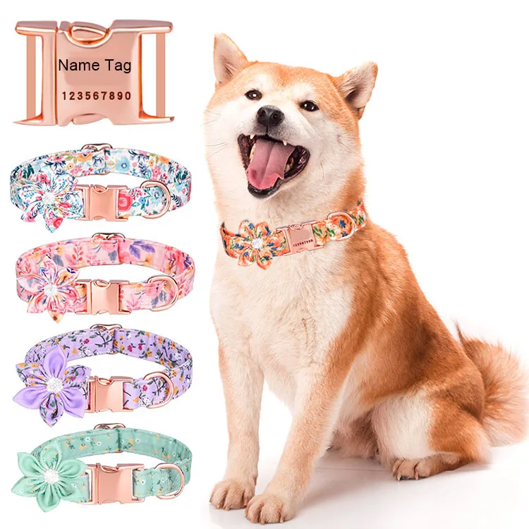 Girl Dog Collars - Personalized Female Dog Collars