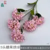 Caramelo de 5 cabezas Hydrangea HN Deep Pink