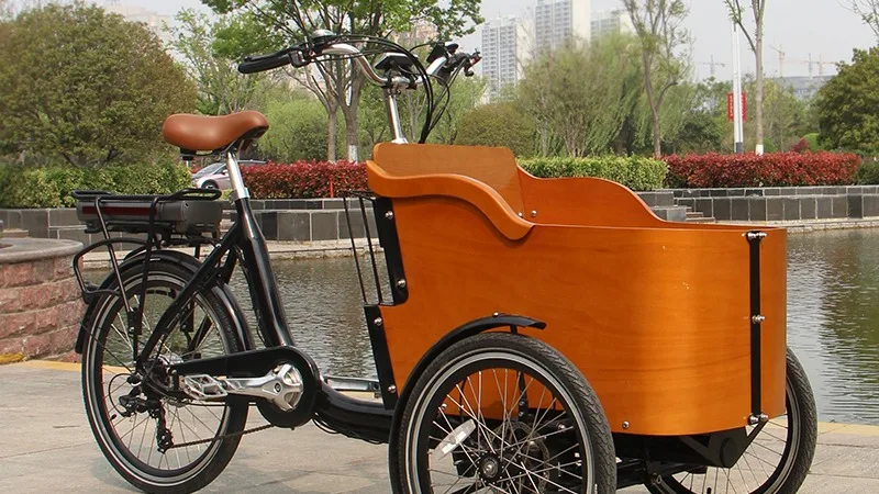 Electric Tricycle Electric Cargo Bike E-assist Bicycle Displayracks ...