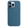 Azul Jay