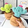 Plante en pot de cactus