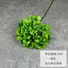 54 pezzi di singola ortensia-verde