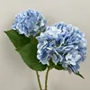 Light blue 182 film hydrangea