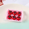 Plateau rose tomate avec aimant