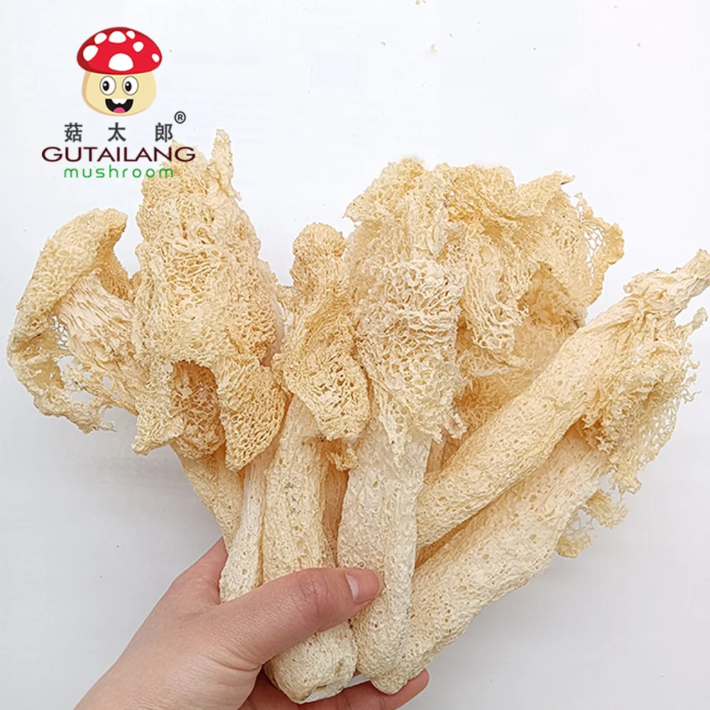 GUTAILANG Qualitt getrockneter Bambus pilz getrocknete Dictyophora/Bambus  pilze| Alibaba.com