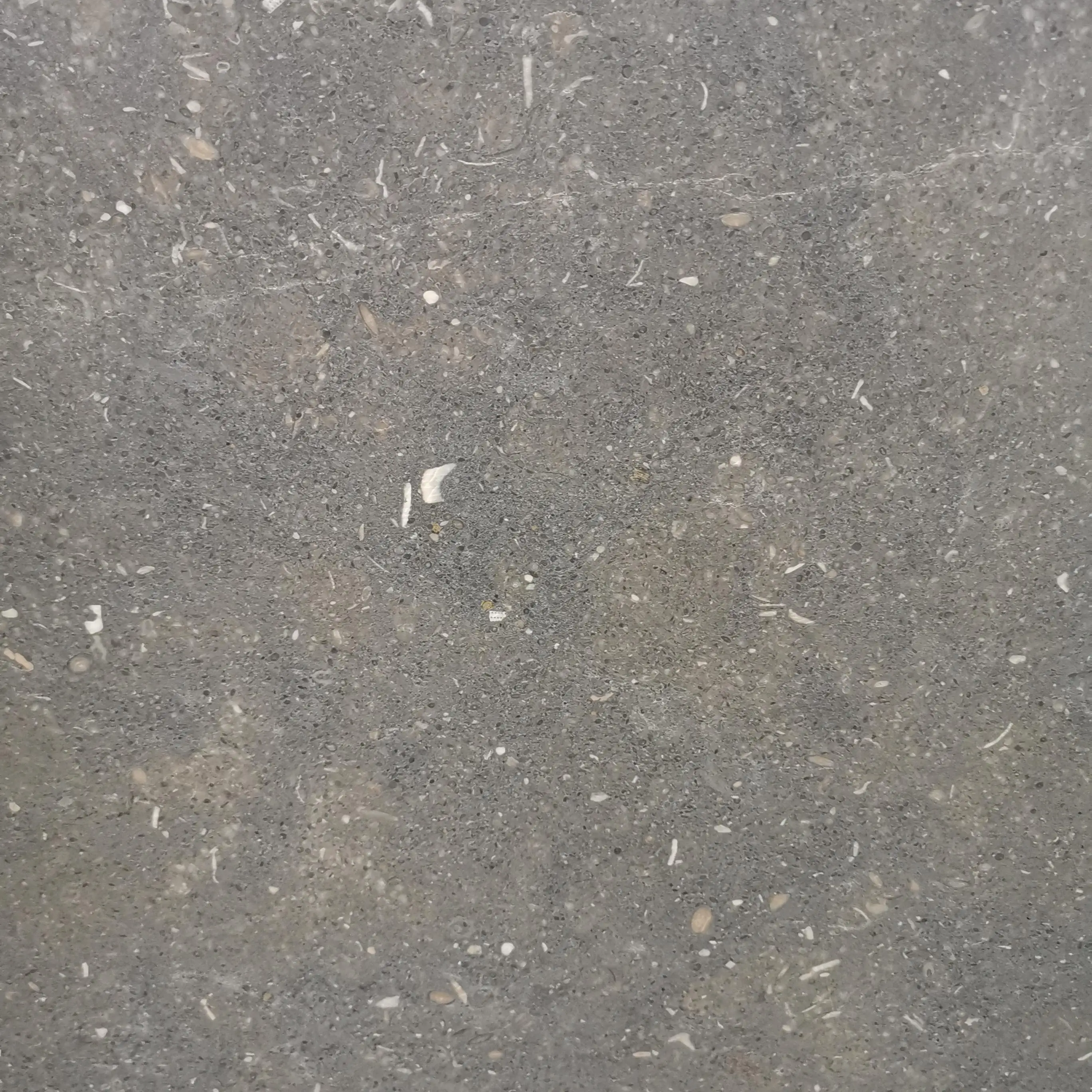 product paiastone high quality grey limestone slab modern design style brushed tile villa exterior outdoor floor paving honed split-4