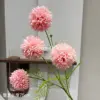 Crisantemo