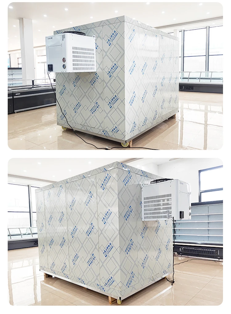 Storage Monoblock Refrigeration Unit, 110V, -22- 8℃ - detail 20