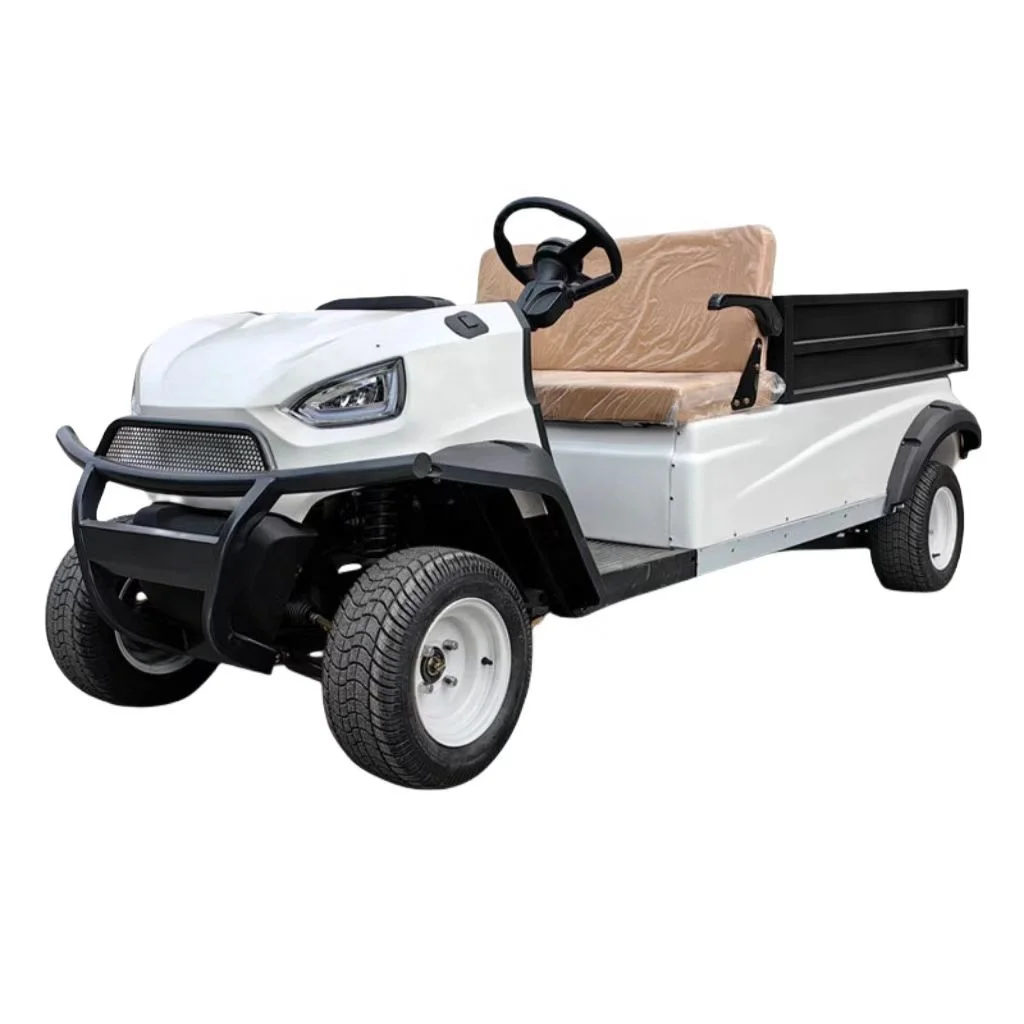 2025 Dearadh Nua Leictreach Parison Golf Cart Leictreach 2 Suíochán Cart Golf Bán 2025SDZX12PTPR139