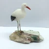 Material