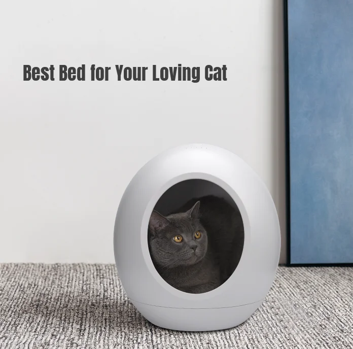 Popular Smart Intelligent Cozy Plastic Electrical PET Cat Coop with Soft Mat Slightly Music Sensor Light Air Conditioner