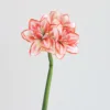 light red
