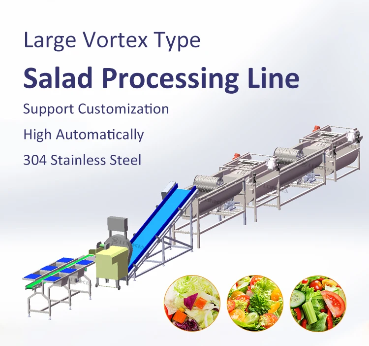 Salad Vortex Cleaning Machine supplier