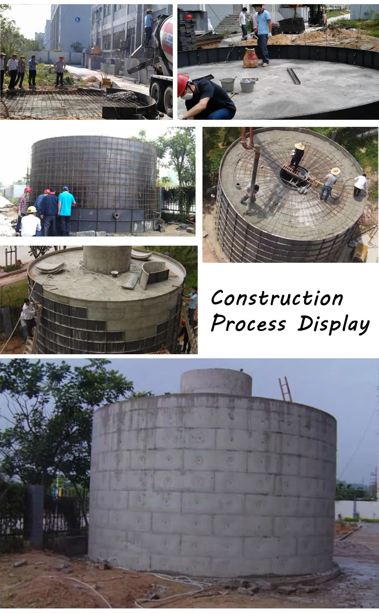 Anaerobic Digester PUXIN Medium and Large Size Biogas Plant for Cow Farm with 400 Cows