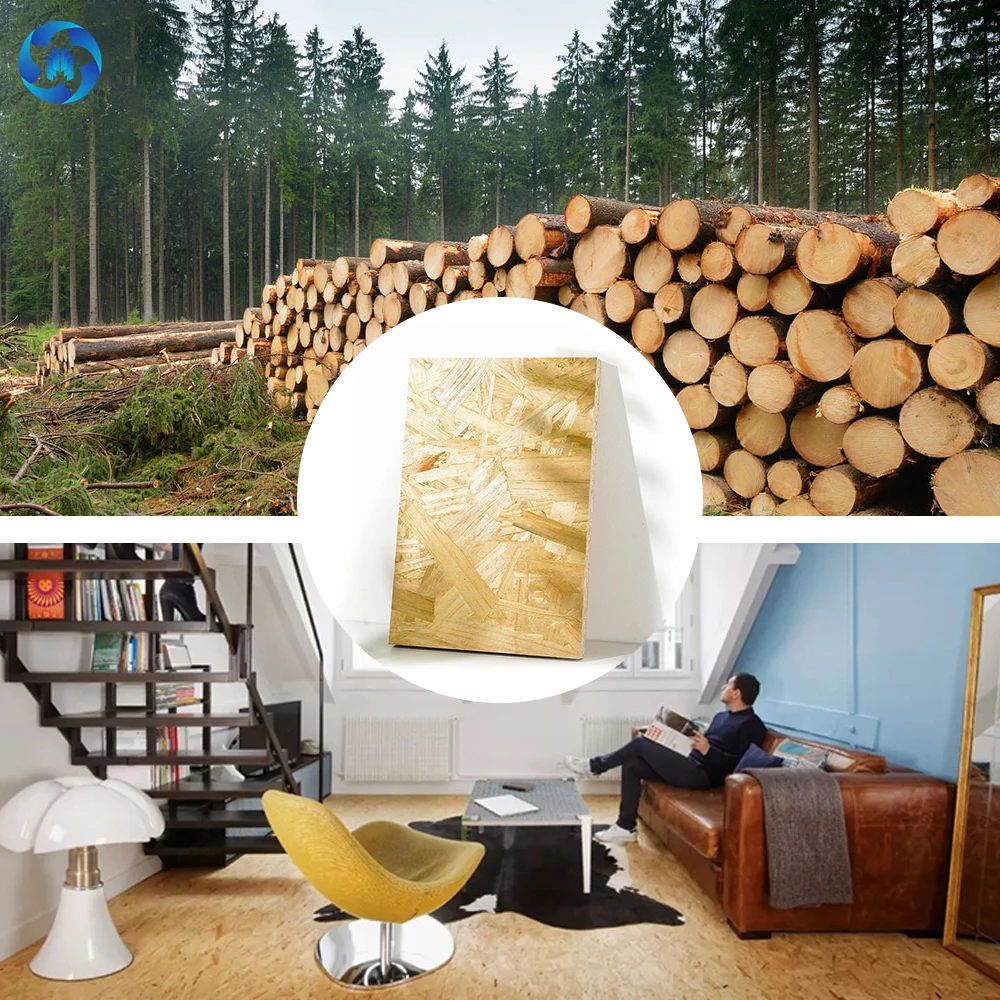 Cheap OSB 3 Board 1220*2440 8mm 9.5 mm 12mm 18mm Osb Wall Panel for Construction Materials