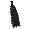 burmese curly