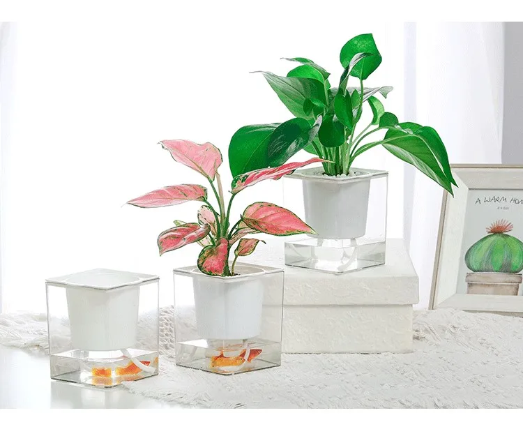 Cheap Clear Japanese Garden Plant Pot Rectangular Self Watering Bulk