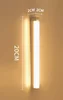 Luz cálida de 20cm-2w