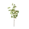 Vert-Rouge