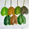 Philodendron-BIG 2 - Vert