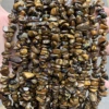 Golden Tiger's Eye