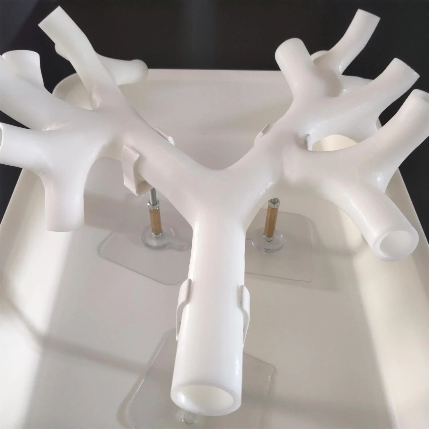 Bronchscopy Simulators KyrenMed 3D Fibrous Bronchial Model With Tray Life Size Resin Tertiary ...