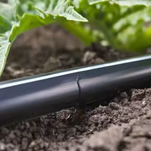 Strip Agriculture Irrigation System Pipe Strip Type Drip Irrigation Tape with Filter for Farming Irrigation System Full Kits