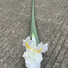 3 iris ireland
