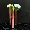 Rose vif